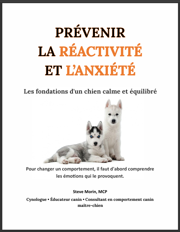 121 pages en format PDF