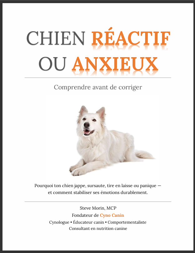 107 pages en format PDF