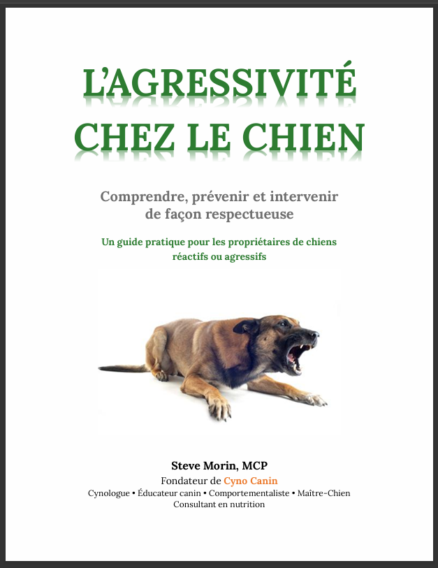 62 pages en format PDF