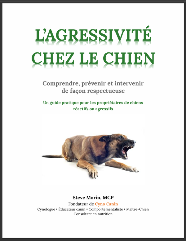 62 pages en format PDF