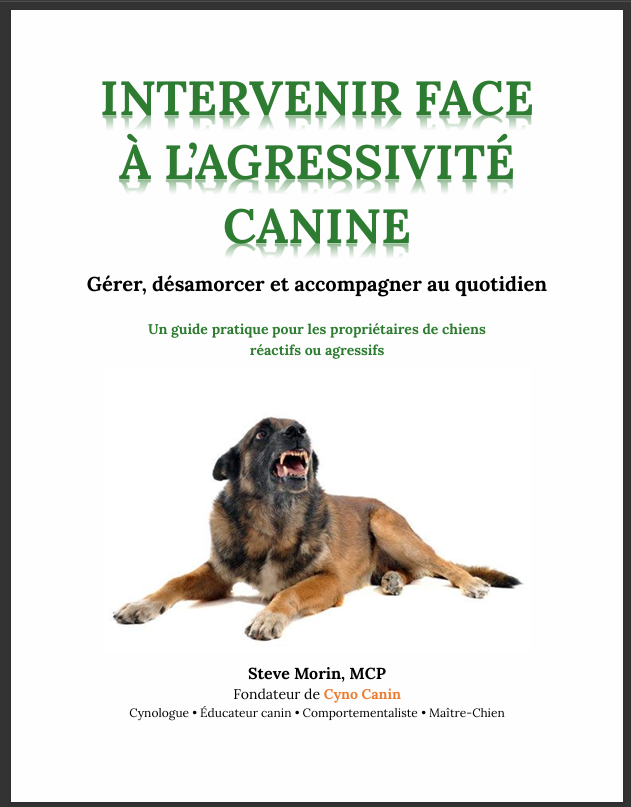 58 pages en format PDF