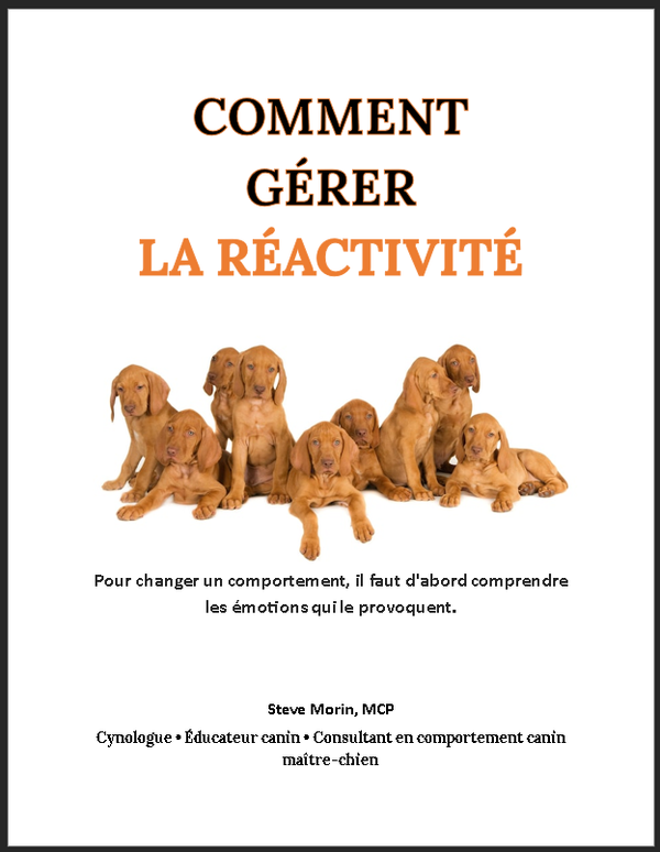 COMMENT GÉRER LA RÉACTIVITÉ