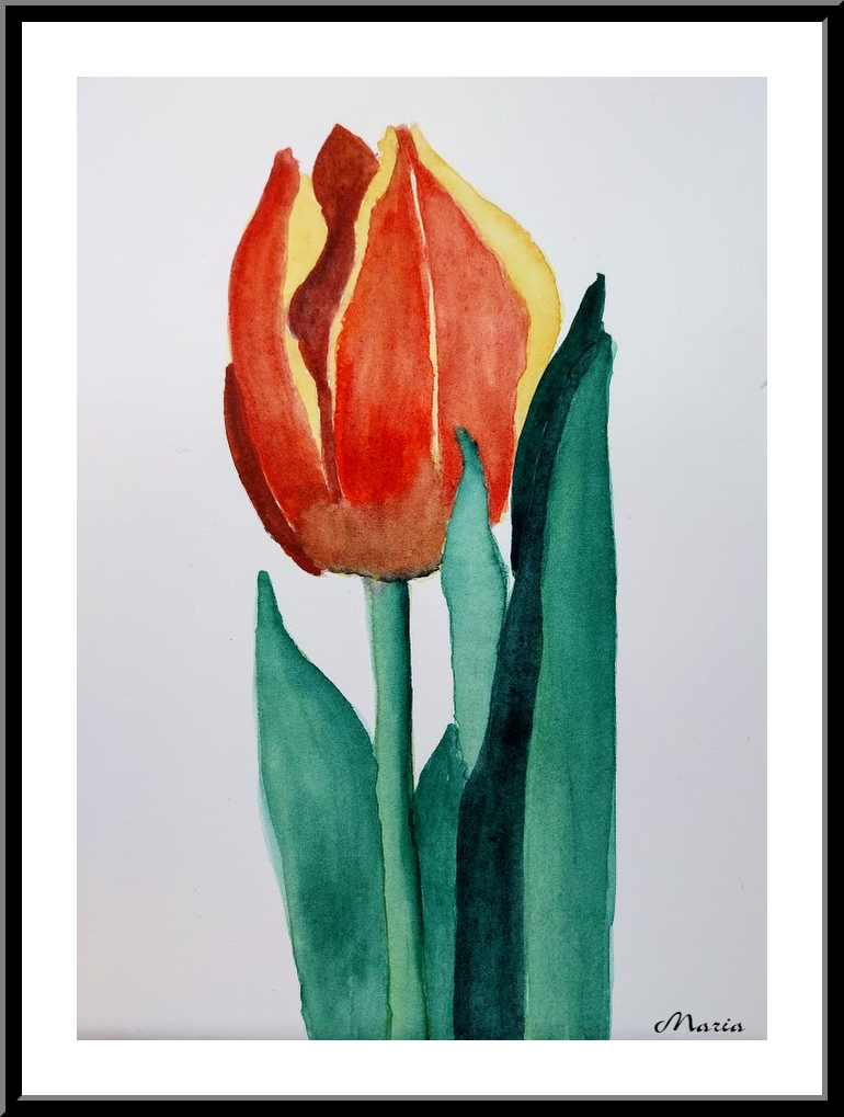 Aquarel: Tulp