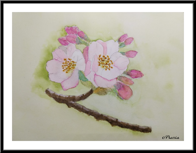 Aquarel: Bloesem