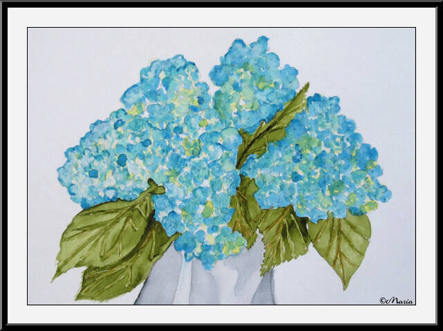 hortensia
