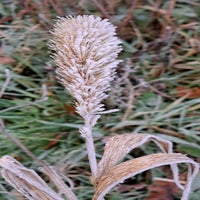 20231130_144120.jpg
