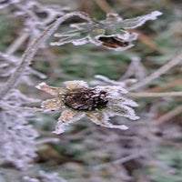 20231130_143811.jpg