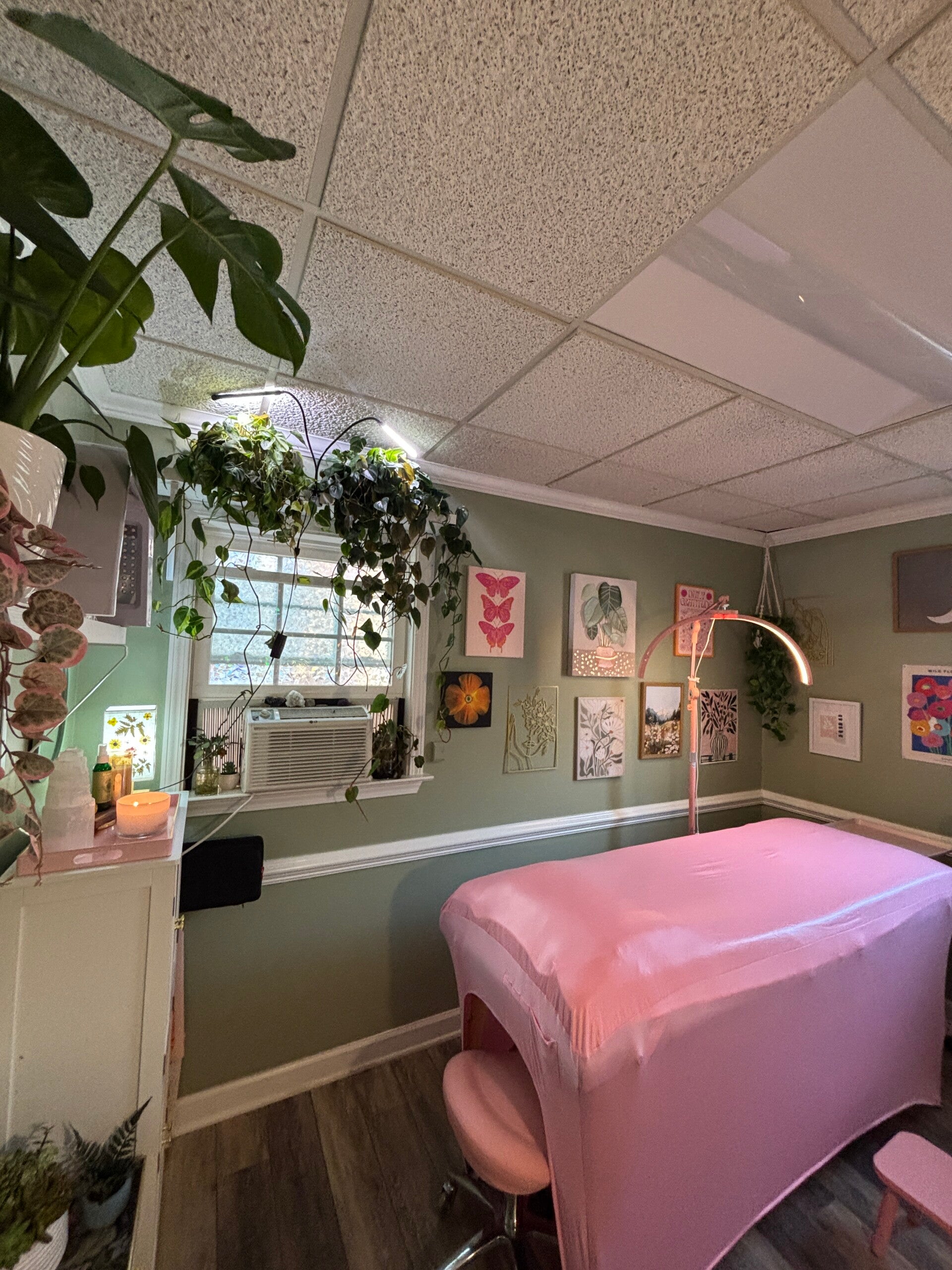 Relaxing skincare studio in Alpharetta GA designed for facials, waxing, sugaring and self care treatments.