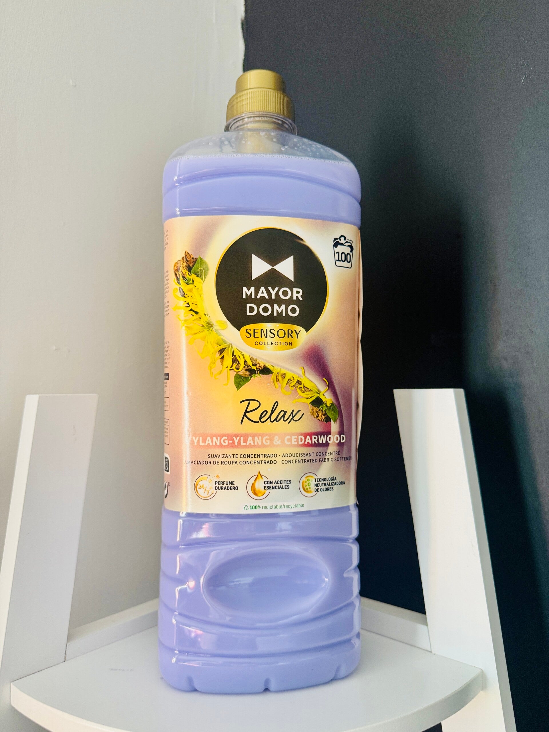 Mayordomo Fabric Softener 100 Wash - Relax