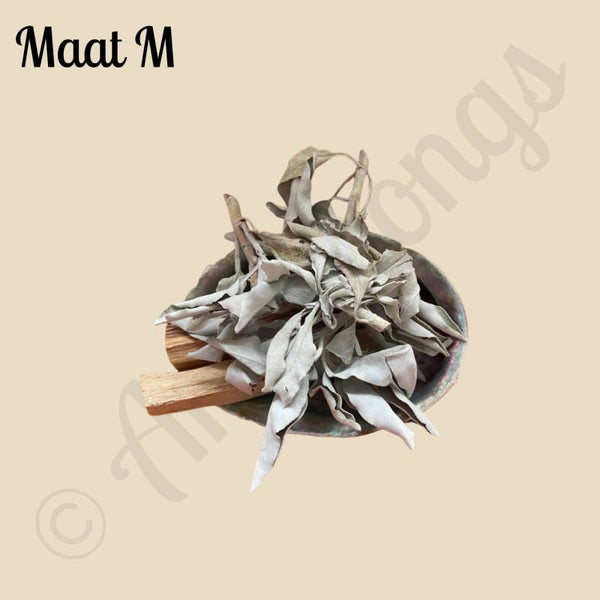 Abelone Smudge Schelp met Witte Salie & Palo Sant (maat M,L,XL)