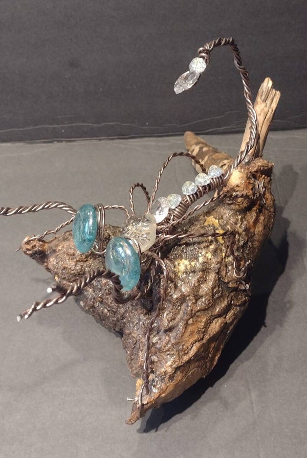 Bug eyes on Drift Wood