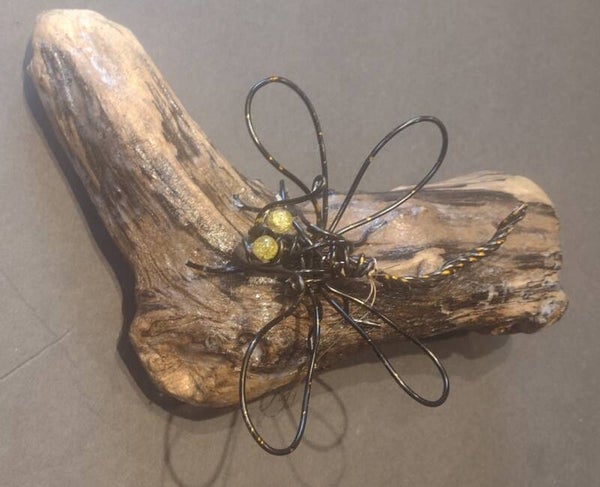 Dragon fly on Driftwood
