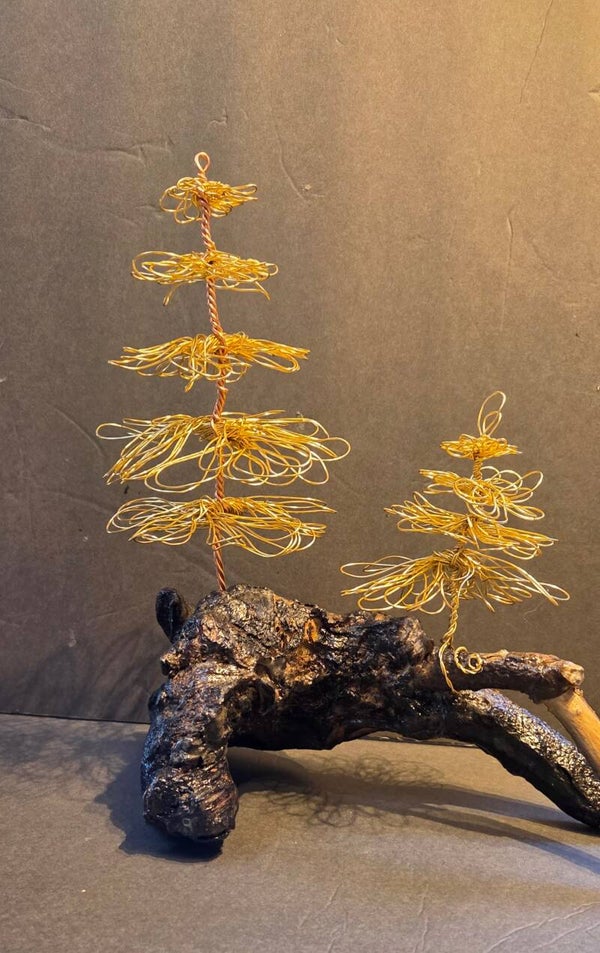 2  GOLDEN TREES ON DRIFTWOOD"