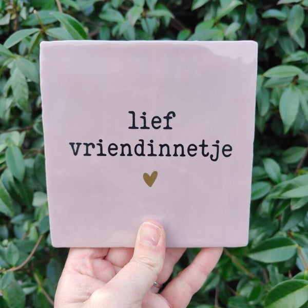 Tegeltje - Lief vriendinnetje