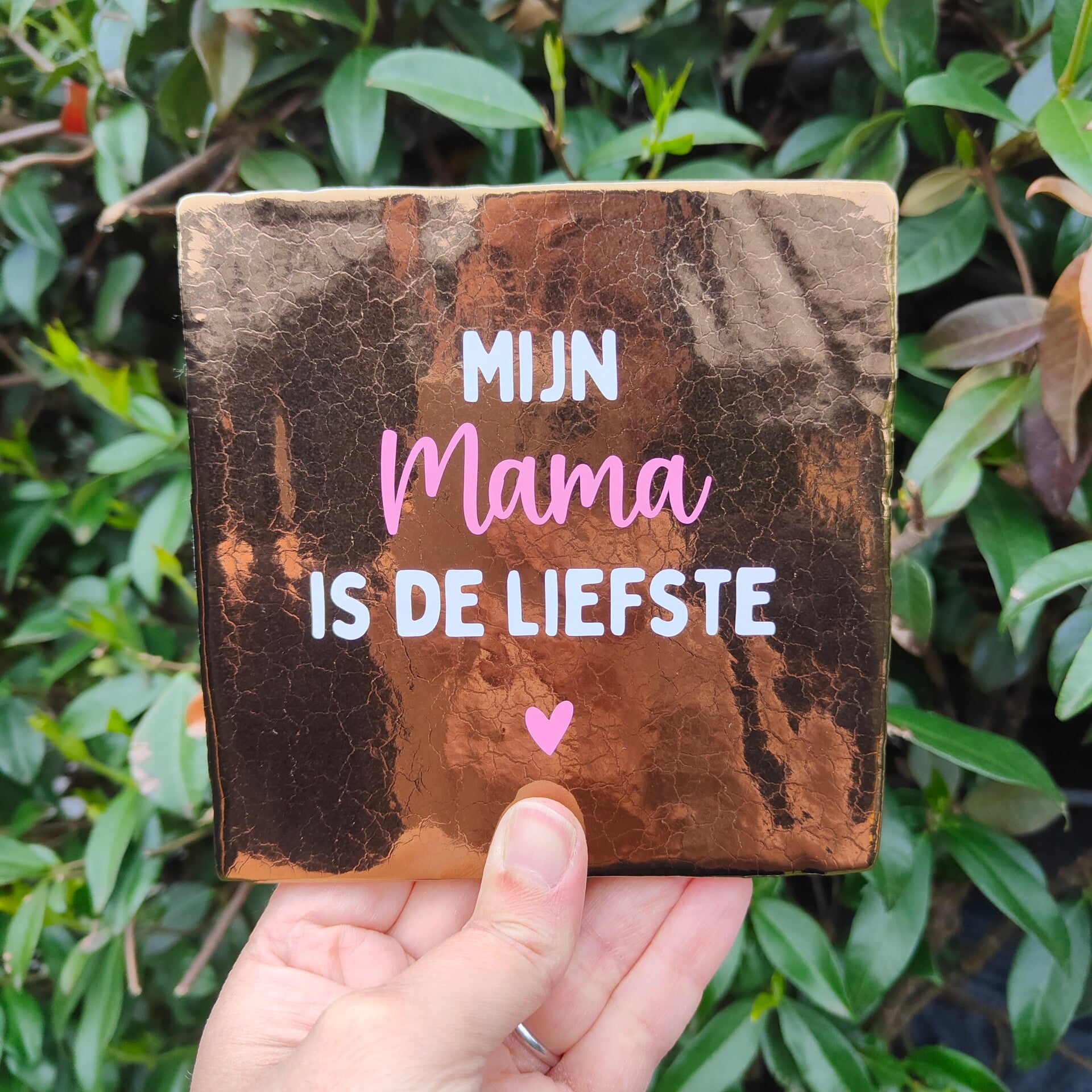 Tegeltje - Mijn/onze mama is de liefste