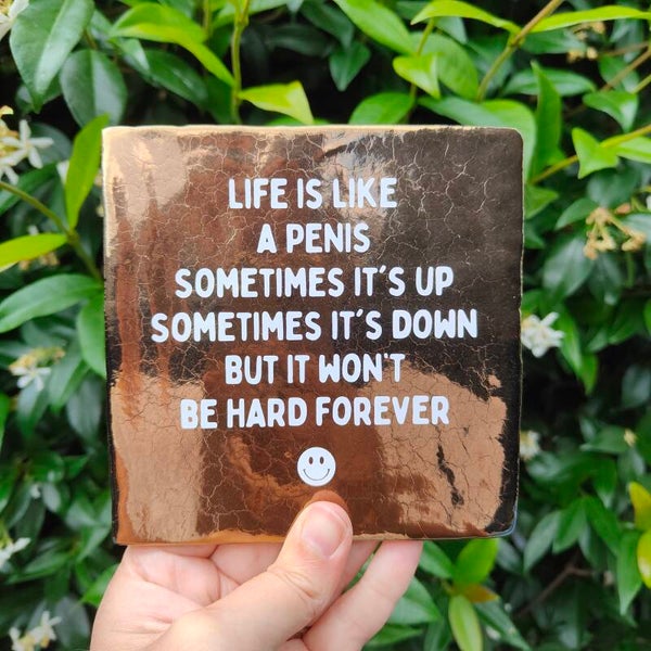 Tegeltje - Life is like a penis