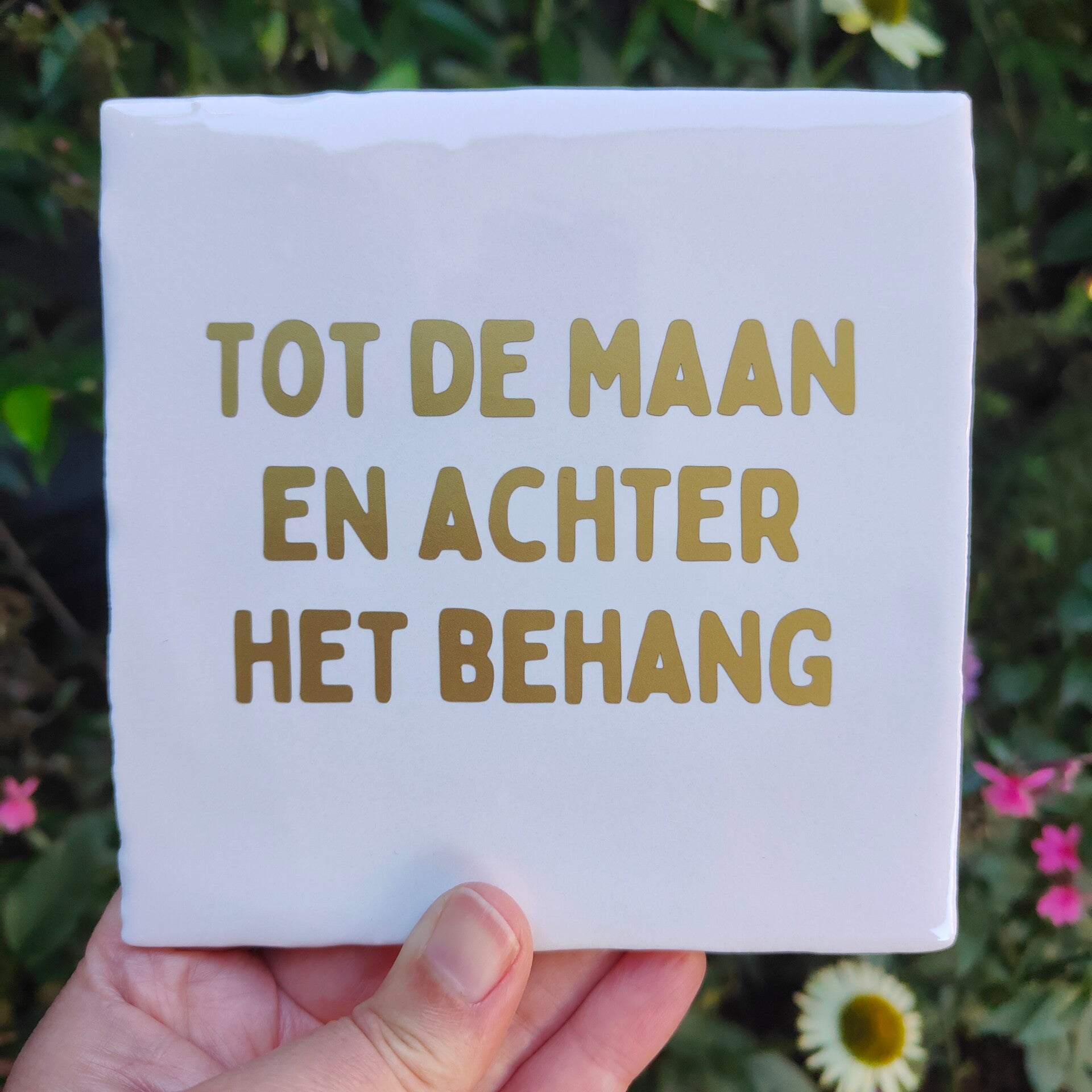 Tegeltje - Tot de maan en achter het behang