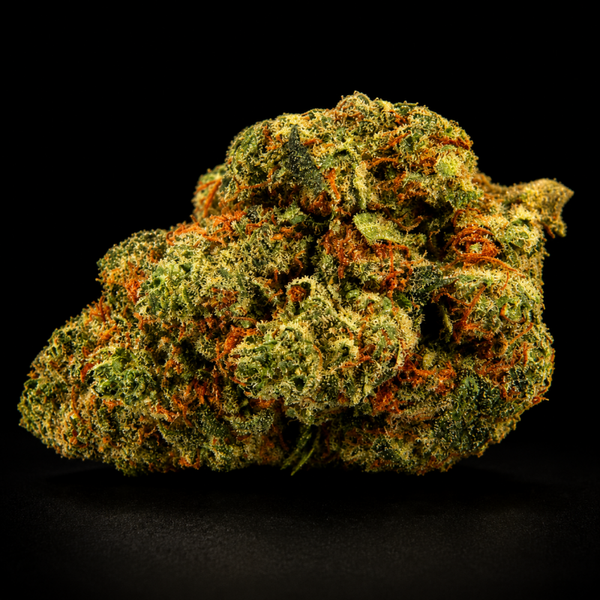 CBD Master Kush