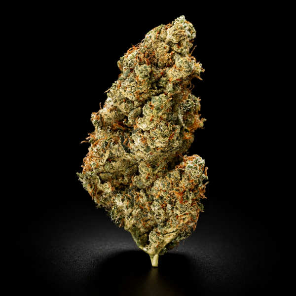 CBD White Widow
