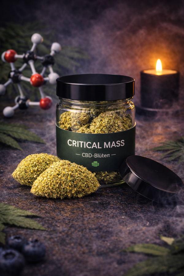 CBD Critical Mass