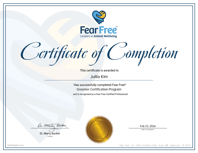 image_2026-02-22_210238875-standard.png