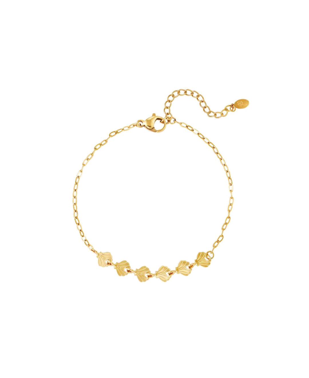 Zeeschelp armband