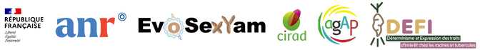 EvoSexYam