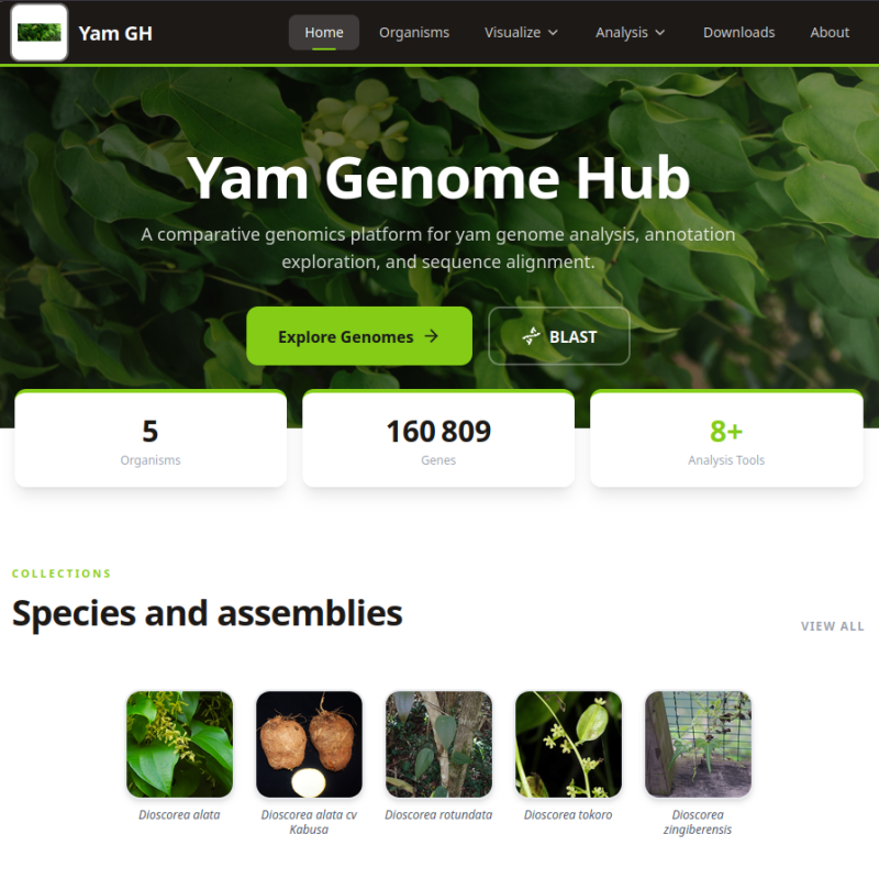 Yam Genome Hub