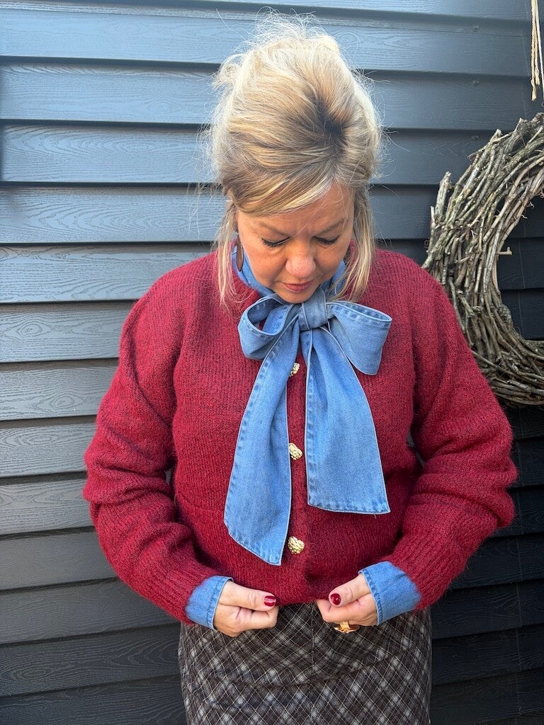 Vest Azzurro Hart - Rood