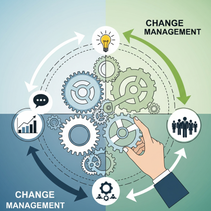 Column picture for Change Management