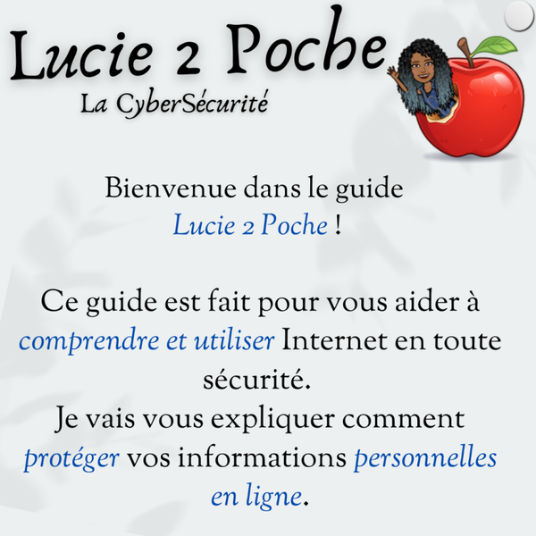 - La sécurité avant tout - Guide d'utilisation niveau " Novice"