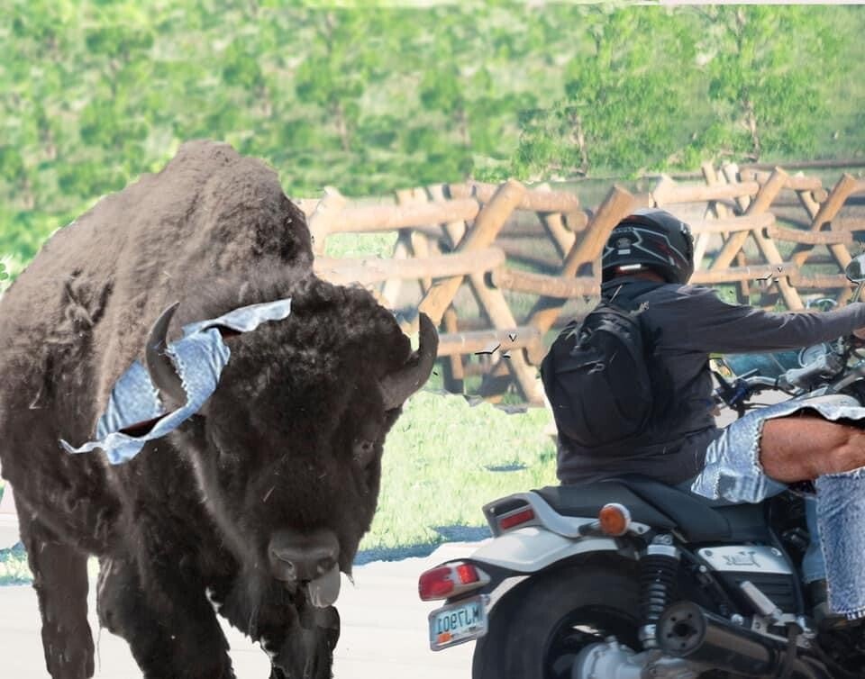 super imposed buffalo chase magnet