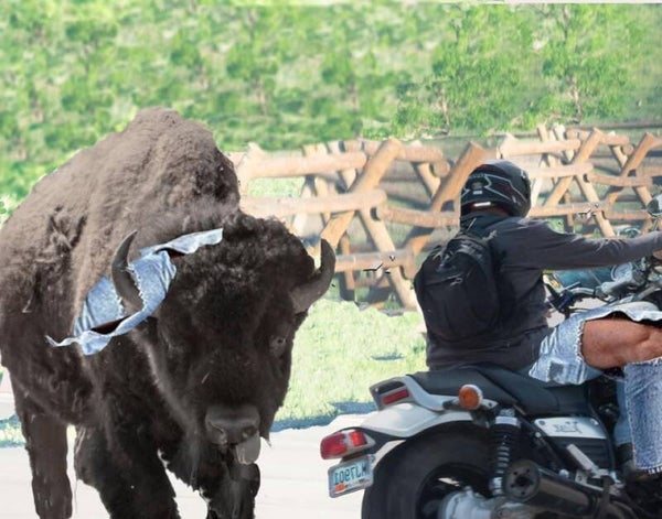 super imposed buffalo chase magnet