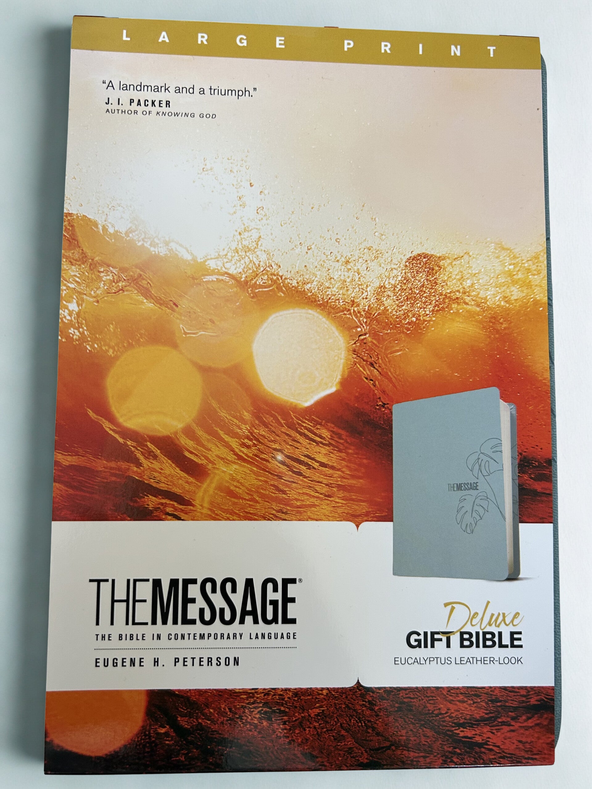 Bible the message Large print