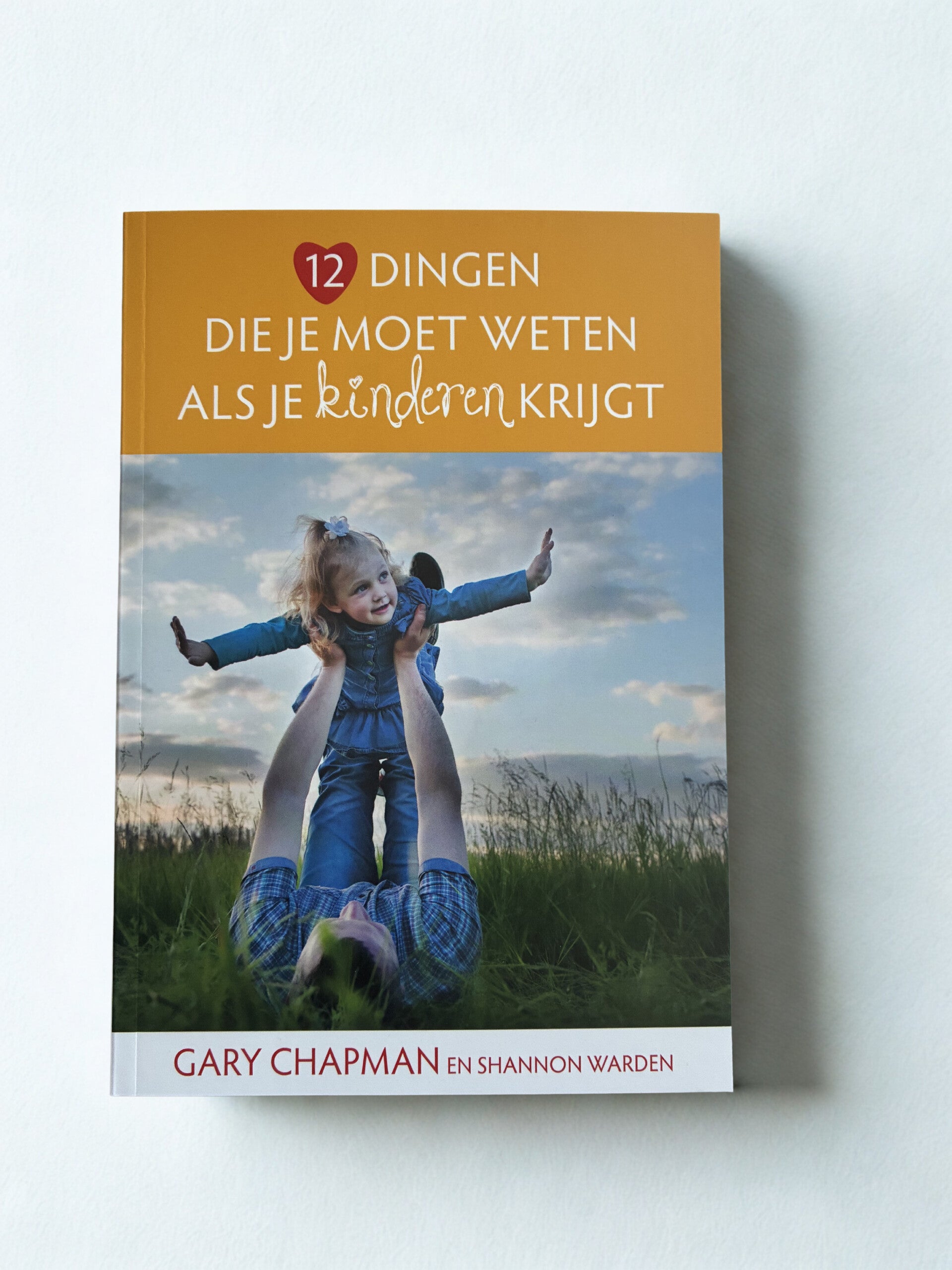 12 dingen die je moet weten als je kinderen krijgt