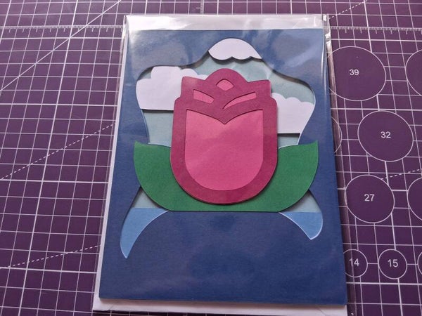 Water Lily
