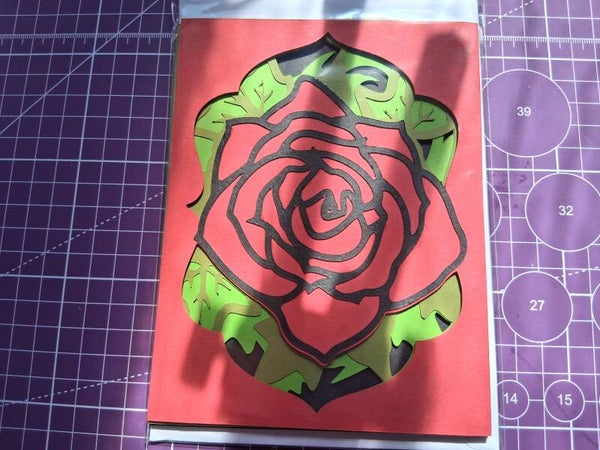 Rose