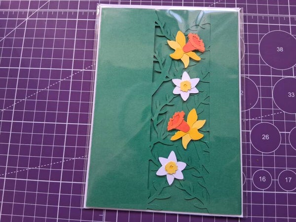 Spring daffodil