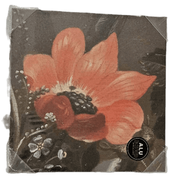 DIBOND - Coquelicot