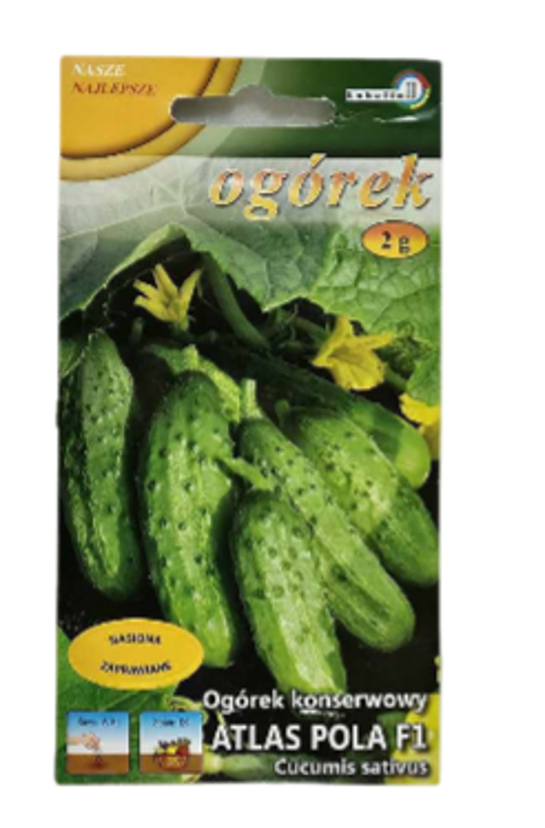 LOBELIA II -  Concombre Atlas Pola F1