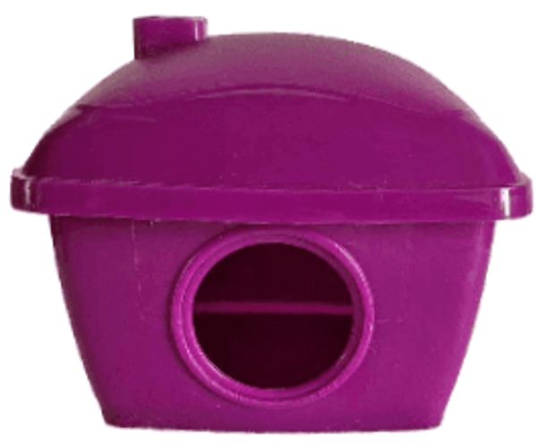 SAINT BERNARD - Maison Pour Hamster Violette