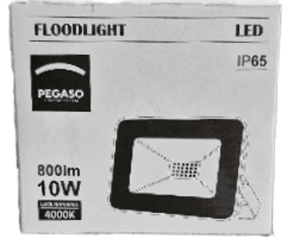 PEGASO - Projecteur 10W