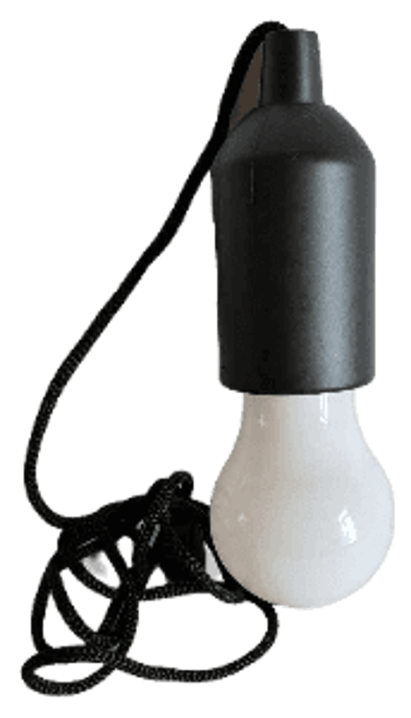 FROYAK - Ampoule Baladeuse Bulbe LED