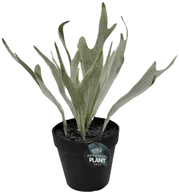 HOME ACCENTS - Plante Grasse Artificielle En Pot