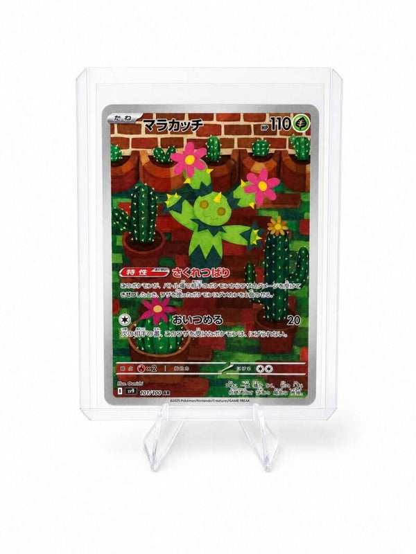 Maractus (JP)