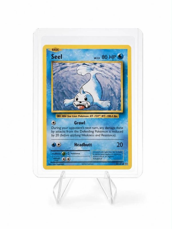 Seel