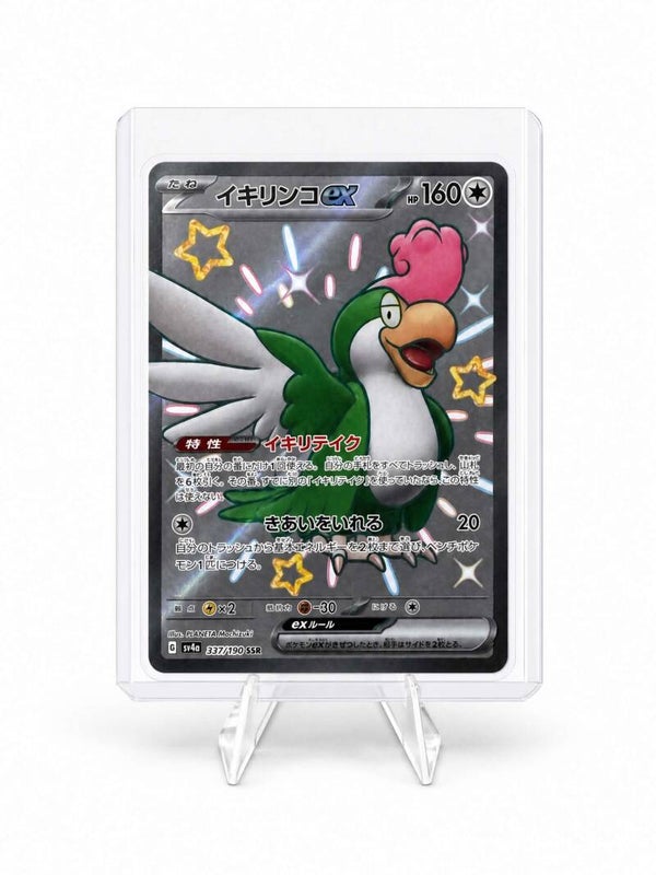 Squawkabilly ex (JP)