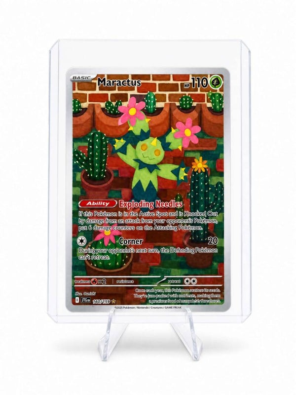 Maractus