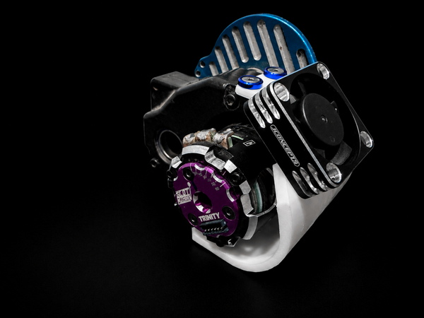 Team Losi XXX Series Motor Guard