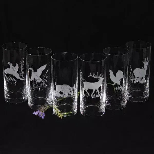 6 x verres convivialité - 300ml